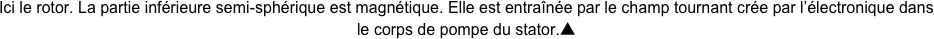 Ici le rotor. La partie inférieure semi-sphérique est magnétique. Elle est entraînée par le champ tournant crée par l’électronique dans le corps de pompe du stator.▲
