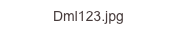 Dml123.jpg