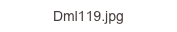 Dml119.jpg