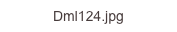 Dml124.jpg